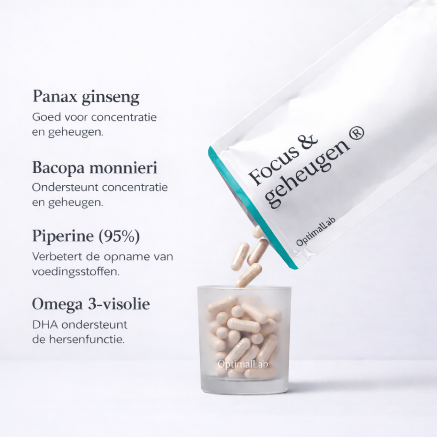 Focus & Geheugen®