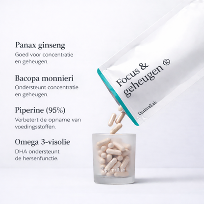 Focus & Geheugen®