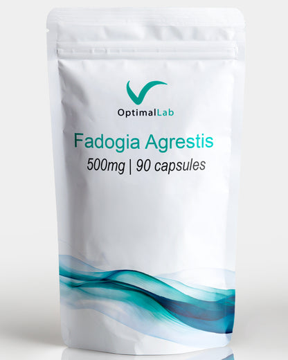 Fadogia Agrestis | 90 capsules | 500 mg | 1:20 extract